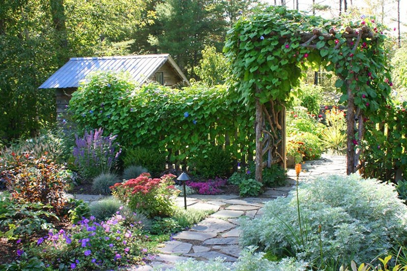  Эффектное вертикальное озеленение территории загородного дома 