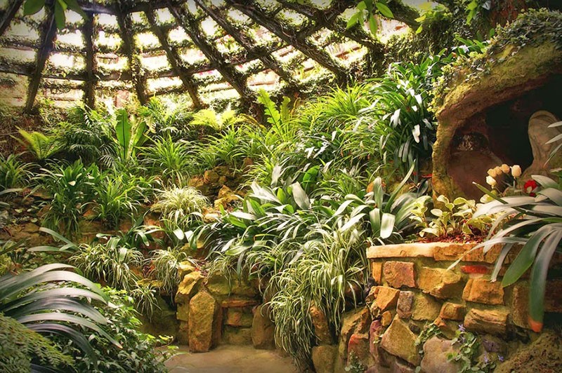  Зимний сад в квартире своими руками: создай себе оазис сам 