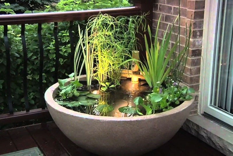  Зимний сад в квартире своими руками: создай себе оазis сам 