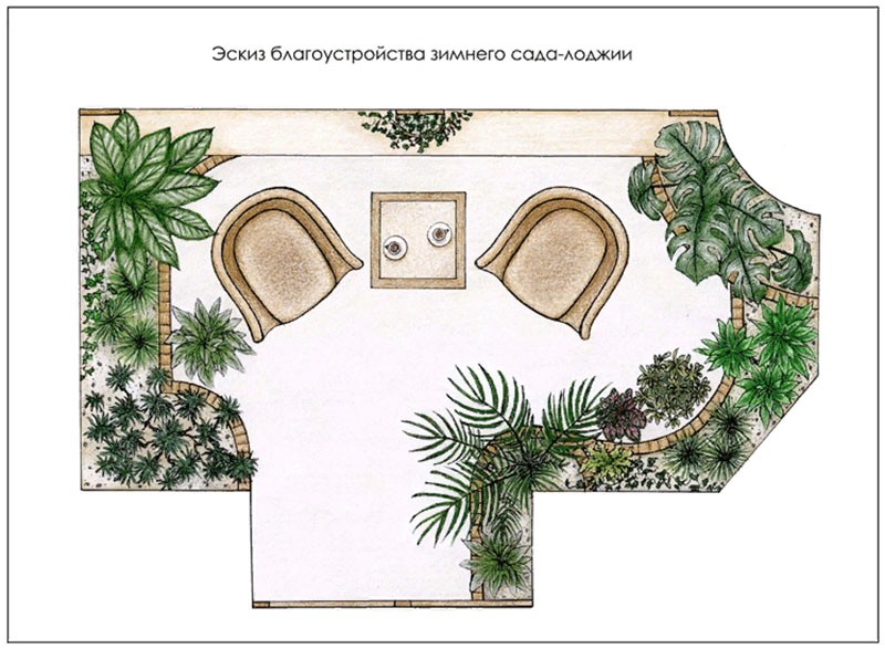  Зимний сад в квартире своими руками: создай себе оазis сам 