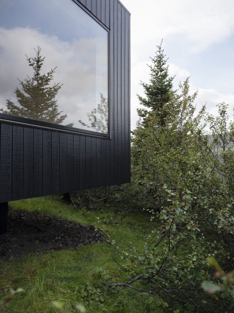 Оригинальная обитель для отдыха с «живой» зеленой крышей