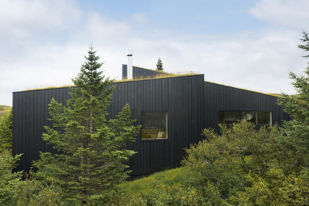 Оригинальная обитель для отдыха с «живой» зеленой крышей