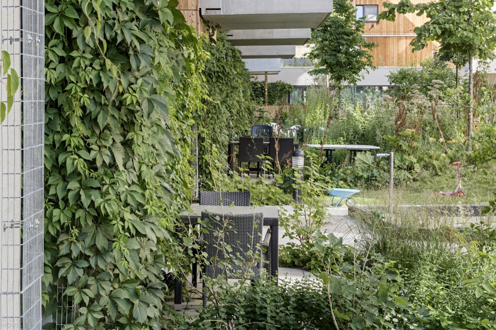 Жилой комплекс «Деревянные дома» как часть грандиозного проекта городского развития Aspern Seestadt